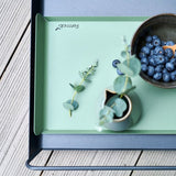 FERMOB ALTO Small Metal Tray [23x17 cm] - Cactus